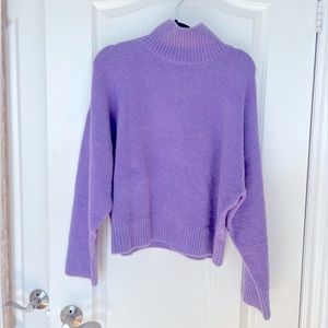 Zara Turtleneck Sweater